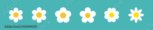 Flower icon set. Retro spring summer white flower design vector. Camomile. Cute round flower plant collection isolated on white background.