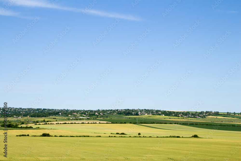 Fototapeta premium A field with a rainbow