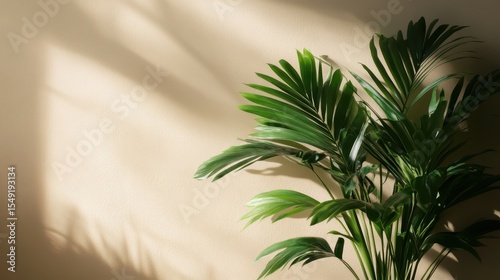 A beautiful indoor scene featuring a lush green plant against a soft beige wall, with gentle light casting shadows, creating a warm and inviting atmosphere.
