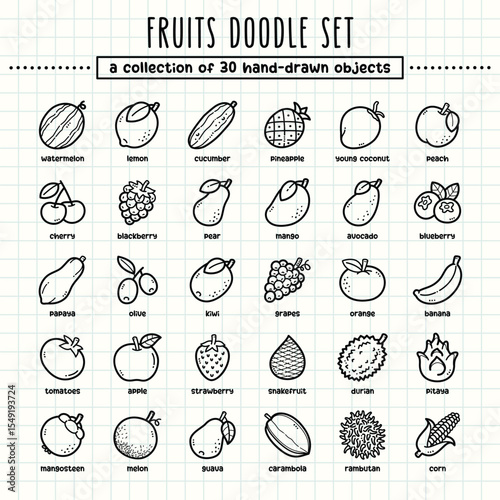 Fruits hand-drawn doodle art illustrations and elements. felt-tip pen marker style on grid paper, great for various creative design uses.