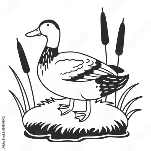 Duck Standing on Marsh Island – Black and White Line Art Illustration
