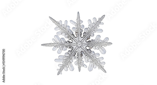 Isolated Detailed Snowflake