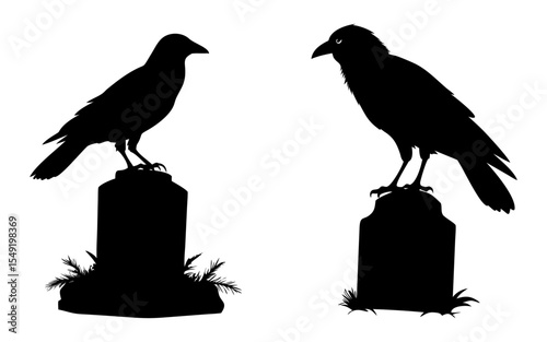 Set of raven perched full black silhouette vector illustration design