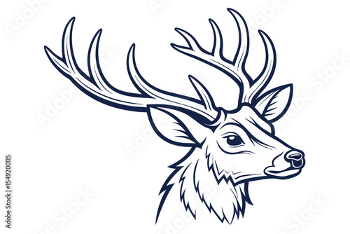 Black and white deer head shows detailed antlers and confident gaze