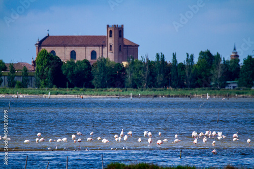 comacchio regional park po delta lagoon for eel fishing and wildlife reserve