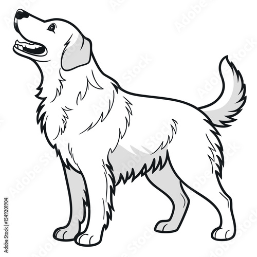 Elegant Golden Retriever Illustration Depicting Canine Grace and Charm in a Black and White Palette with Detailed Line Work