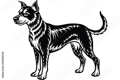 Black dog stands attentively with pointed ears on the white background