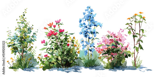 bush of flowers on white background. Bush tree flower of bougainvillea on isolated transparent background	