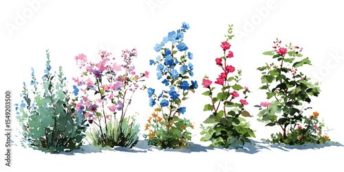 bush of flowers on white background. Bush tree flower of bougainvillea on isolated transparent background	