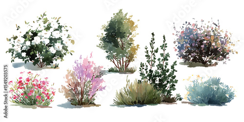 bush of flowers on white background. Bush tree flower of bougainvillea on isolated transparent background	