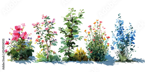 set of Clusters of ornamental meadow grasses gently scattered with blooming flowers, on a transparent backgrounds . PNG Colorful delicate vintage flowers, element set on transparent background