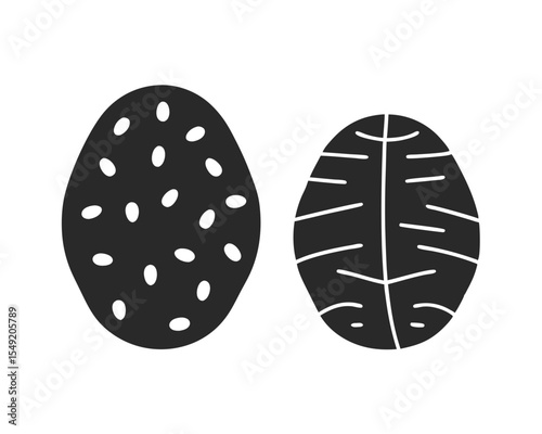 Potato vector silhouette illustration isolated on white background
