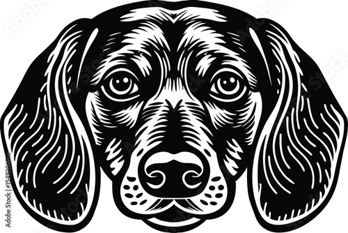 A stylized black and white beagle portrait shows the unique features of the breed