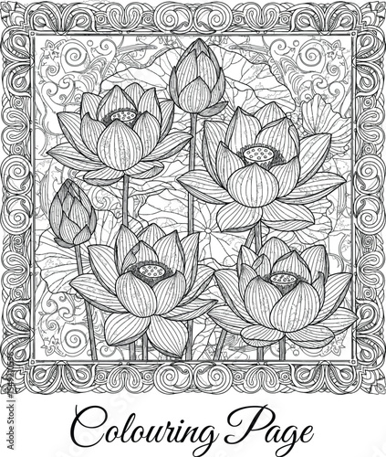 Lotus Flowers and Intricate Frame Coloring Page