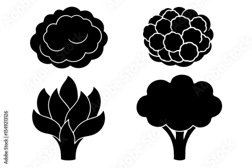 set of Cauliflower vector silhouette illustration isolated on white background