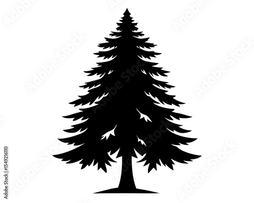 Evergreen Tree Vector Art, Tree Vector Icon Clipart