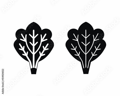 Spinach vector silhouette illustration isolated on white background