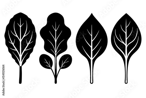 set of Spinach vector silhouette illustration isolated on white background