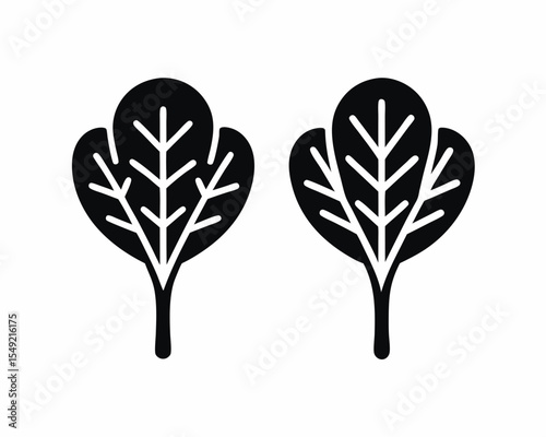 Spinach icon vector silhouette illustration isolated on white background