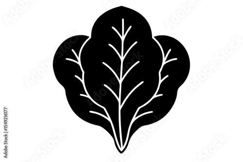Spinach vector silhouette illustration isolated on white background