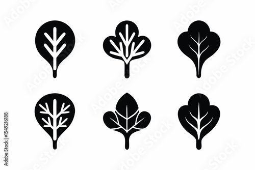 set of Spinach icon  vector silhouette illustration isolated on white background