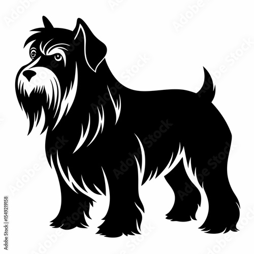 Miniature schnauzer silhouette isolated on white background