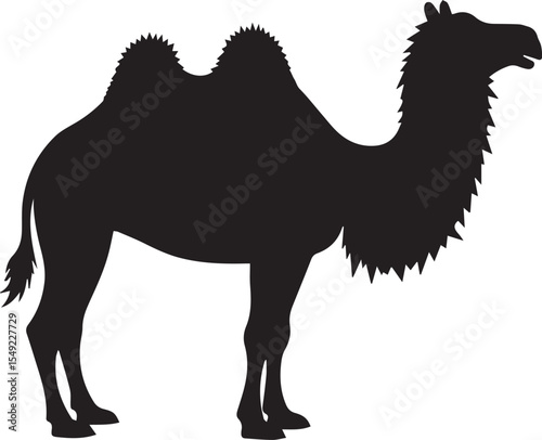 camel in the desert