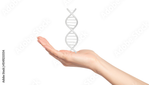 A human hand holding a 3D DNA double helix model, symbolizing genetics and scientific research.