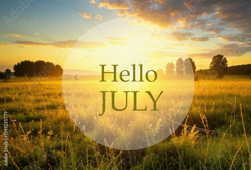 Hello July greeting on a sunny morning meadow with flowers background.Summer concept. Selective focus. 