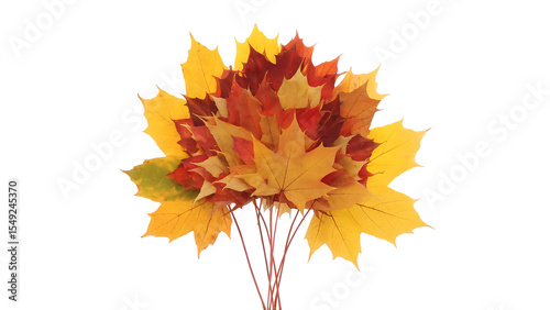 Vibrant Autumn Maple Leaves Bouquet Isolated on transparent background Perfect for Fall Designs and Seasonal Decorations