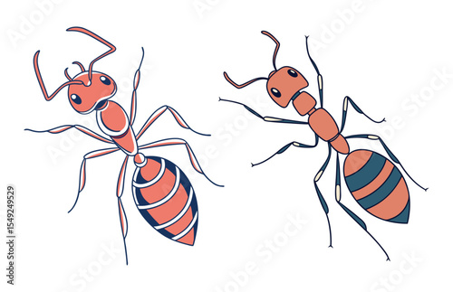 Two cartoon ants illustration red and dark blue line art