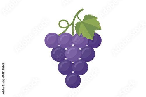 Bunch of fresh red grapes isolated on white, ripe fruit for wine and sweet harvest
