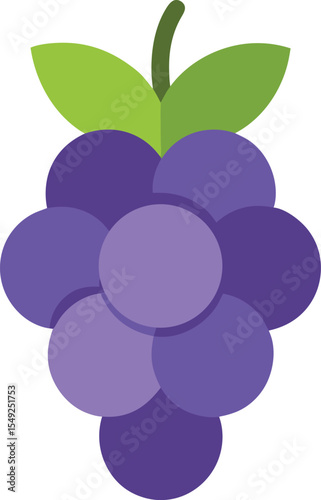vector illustration of grapes