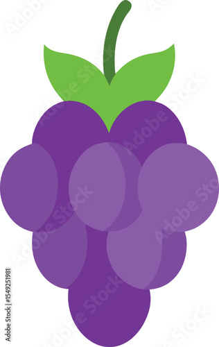 vector illustration of grapes