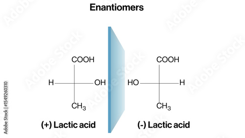 Lactic Acid Enantiomer Vector Illustration Chiral Molecule Structure Mirror Image Isomers Organic Chemistry Diagram White Background Science Educational EPS Format