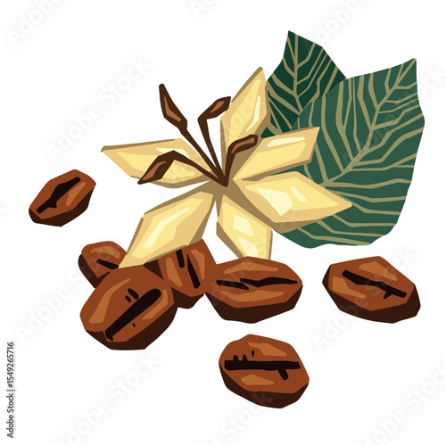 Coffee beans and vanilla hand drawn vector color