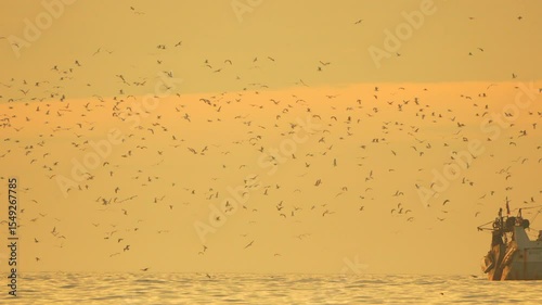 Birds Dust Storm Desert: Massive bird flock migration during sunset, dust storm obscures visibility, environmental impact.