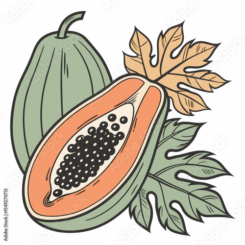 Papaya vector silhouette illustration isolated on white background