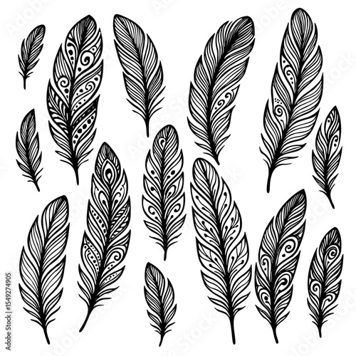 Hand-drawn feather set – elegant black and white vector illustration featuring a variety of intricate feather designs