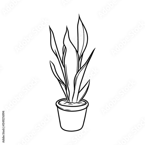 vector plants in pots as decoration