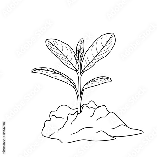 plants starting to grow as a symbol for earth day, plants starting to sprout