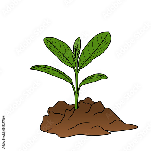 plants starting to grow as a symbol for earth day, plants starting to sprout