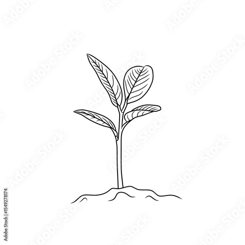 plants starting to grow as a symbol for earth day, plants starting to sprout