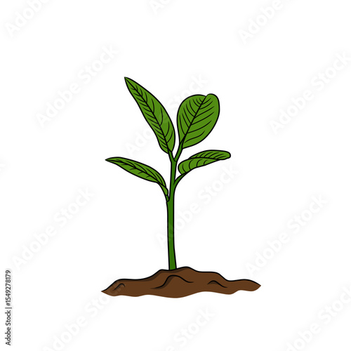 plants starting to grow as a symbol for earth day, plants starting to sprout