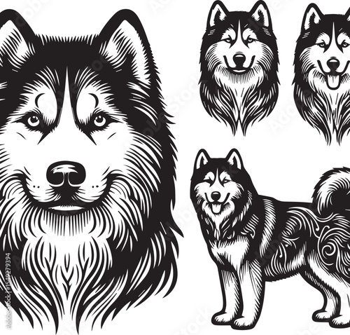 Siberian Husky Dog Vector Illustration in Black and White 