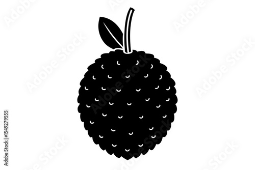 Lychee vector silhouette illustration isolated on white background