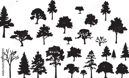 tree silhouettes