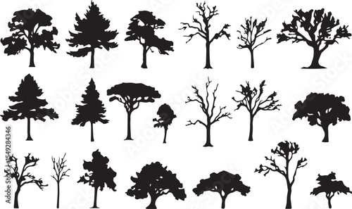 tree silhouettes