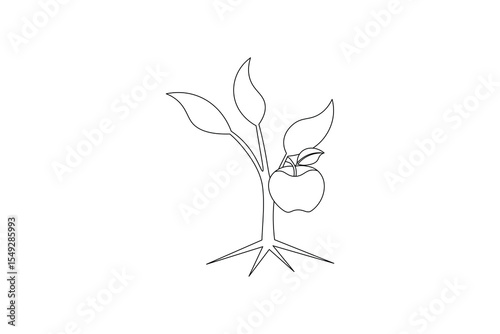apple one line art and frui stock photos vectors and illustration design
