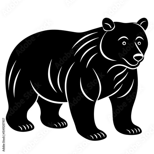 vector illustration of bear